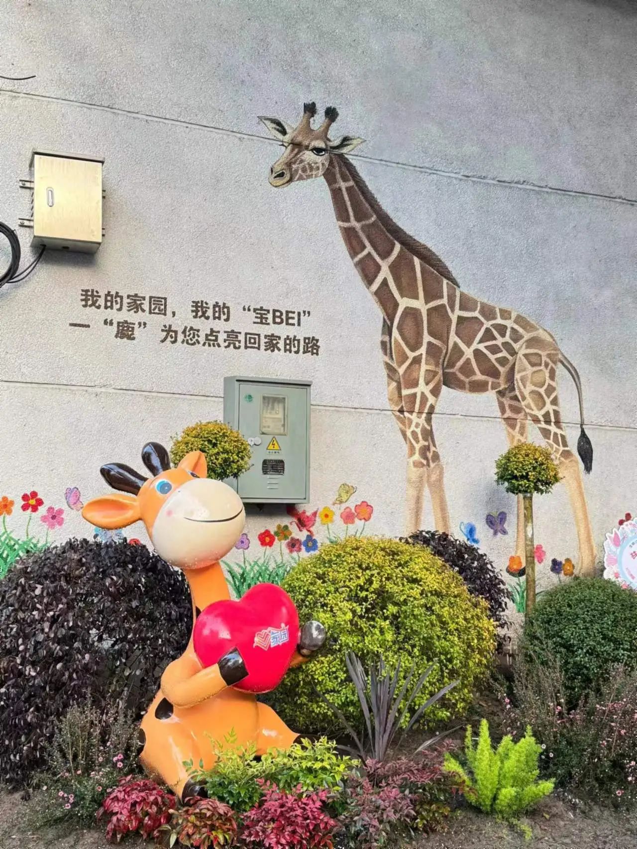 4-头.jpg