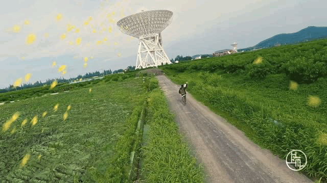 5.gif
