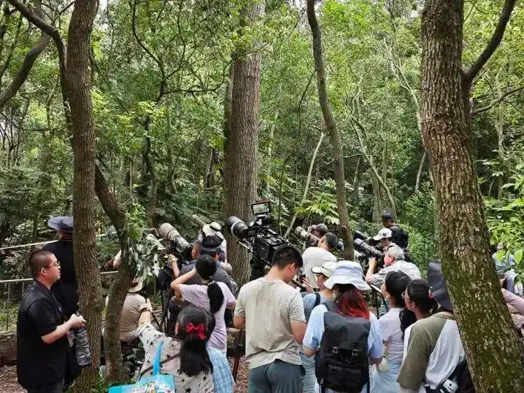 微信图片_20250822171131.png