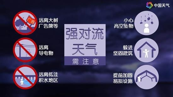 WeChat300317c3ee06b7b14209cce1da3a1594.jpg