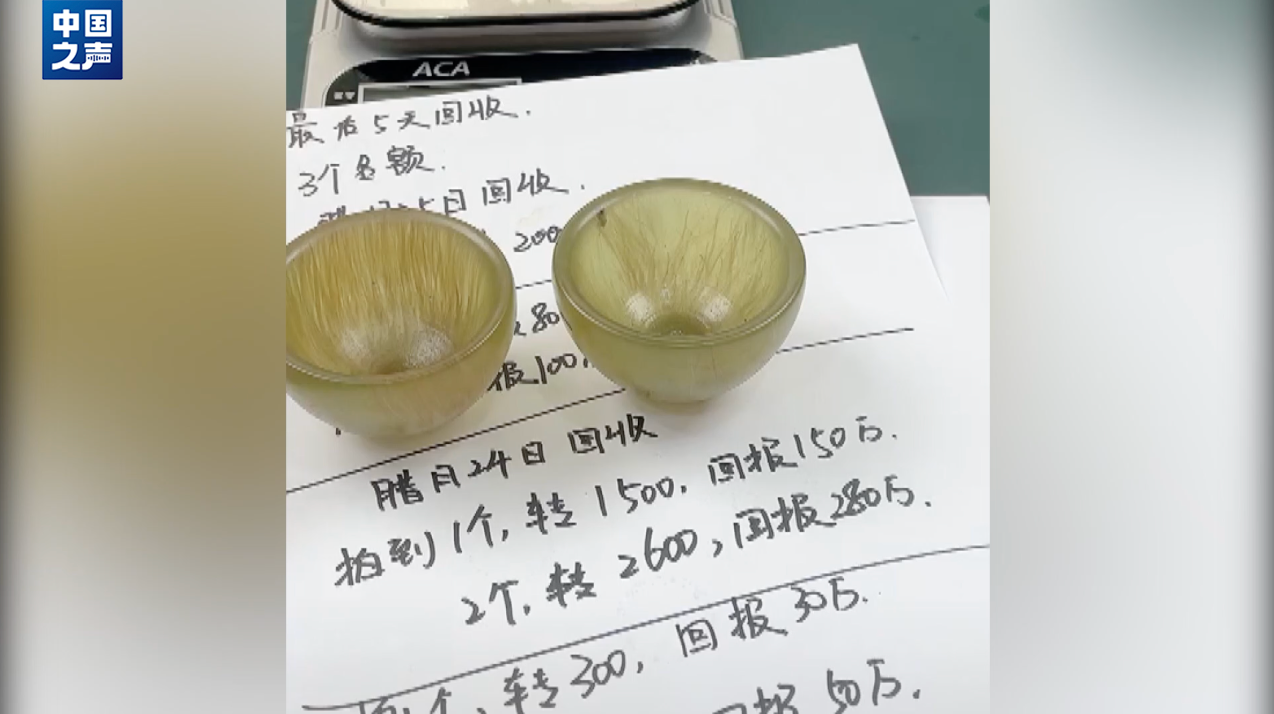 95972c1a699e4dc99167a1805b0a460d.png