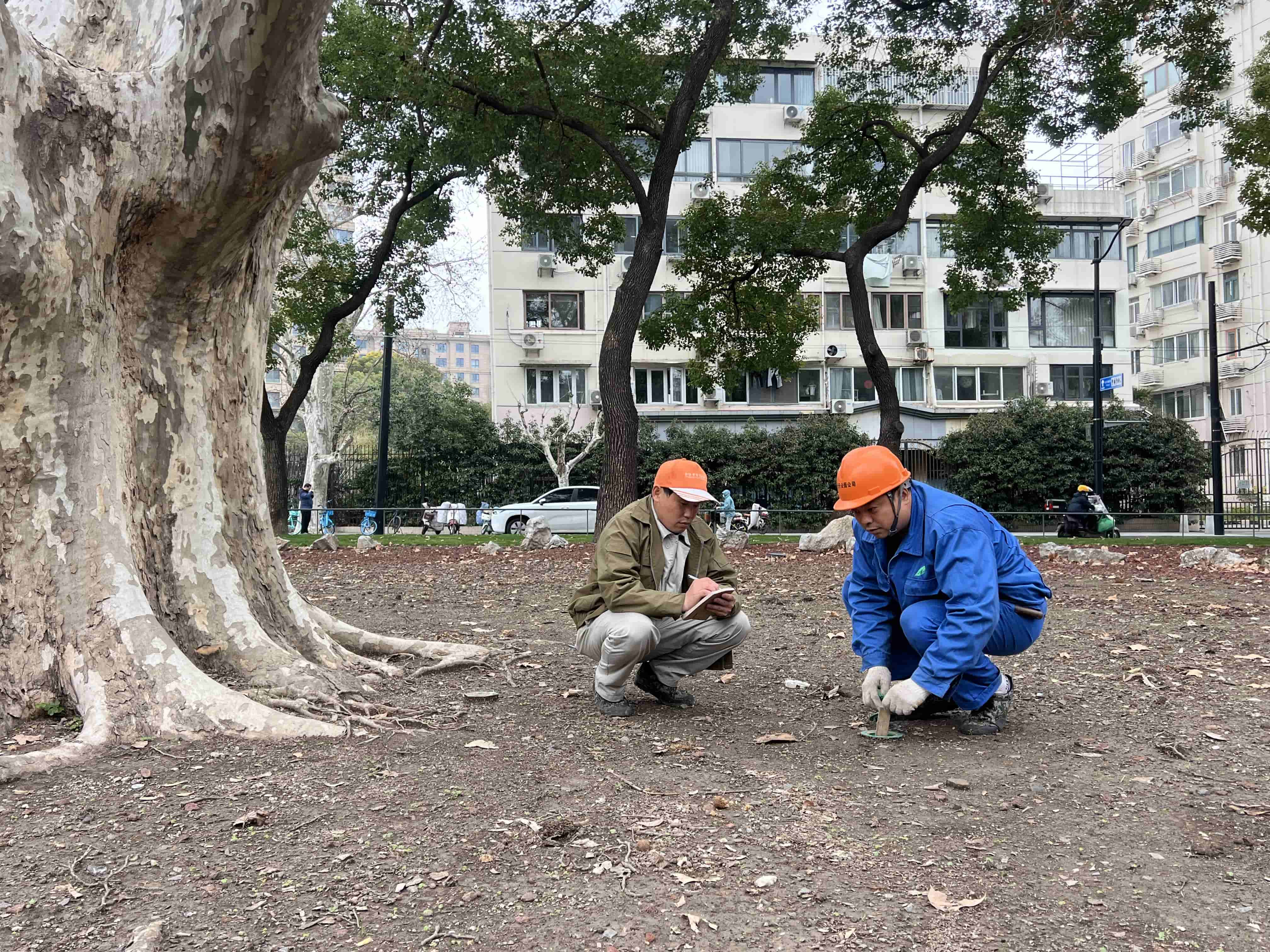 1_compressed (2).jpg