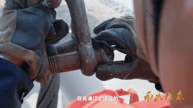 5.gif