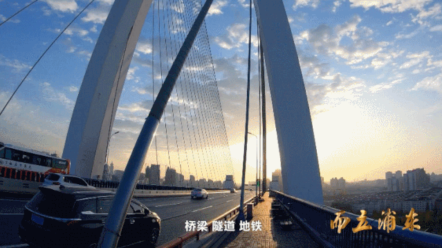 6.gif