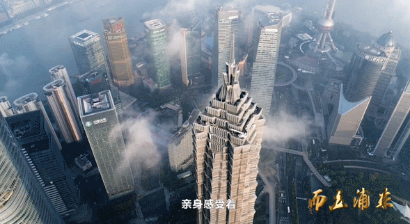 11.gif